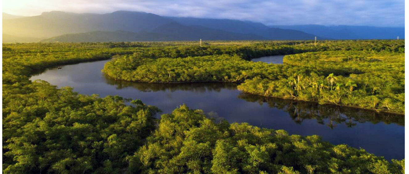 Natura Promove Painel Especial Sobre Sustentabilidade Em Celebração Ao ...